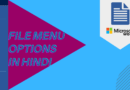file menu options in ms word in hindi