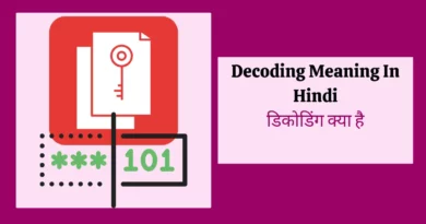 Decoding Meaning In Hindi