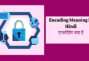 Encoding Meaning In Hindi