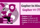 Gopher क्या है? | What is Gopher In Hindi 