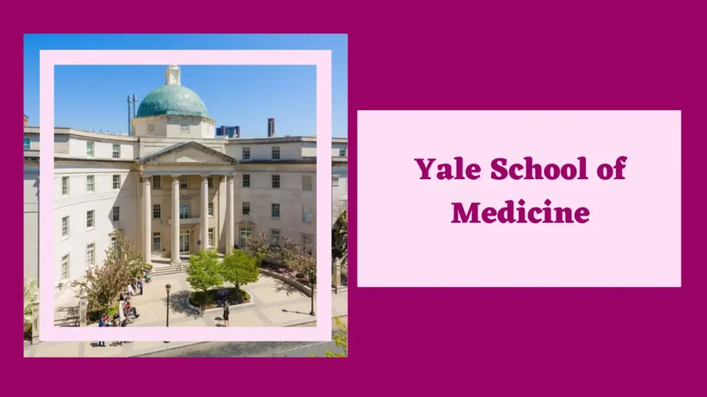Best Medical Schools In The USA 6