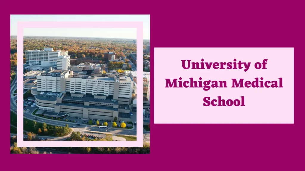 Best Medical Schools In The USA 7