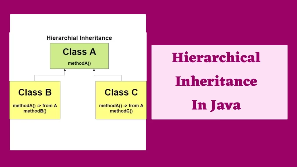 Hierarchical Inheritance In Java in hindi